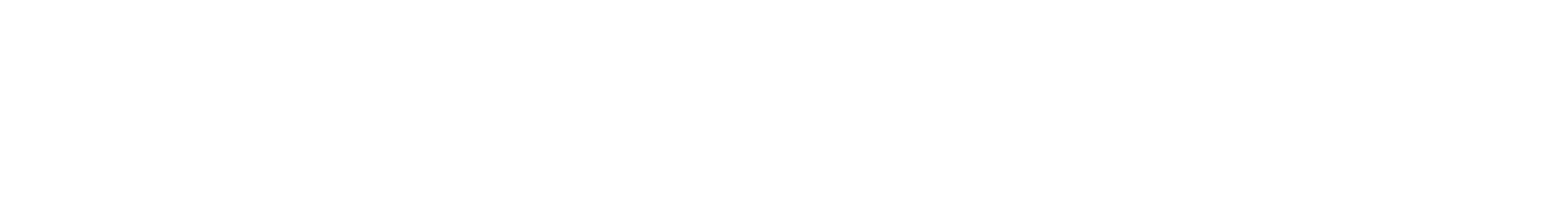 Turtle Beach